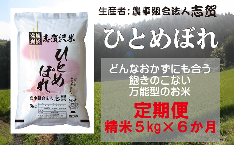 【令和7年産新米】【6ヶ月定期便】宮城県岩沼市産 志賀沢米 ひとめぼれ 精米5kg 