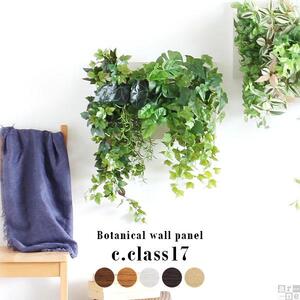 Botanical c.class 17　ブラウン