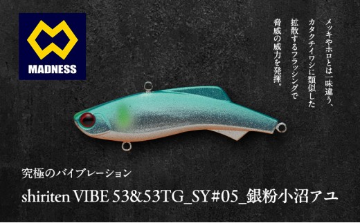 
            シリテンバイブ53 勝負シリーズSY#05 銀粉小沼アユ〈釣り、ルアー、釣り具、スポーツ〉雑貨 日用品
          