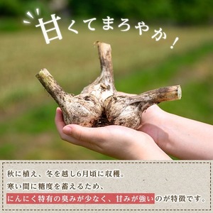 特選バラにんにく 300g にんにく ニンニク ガーリック 六片種 ばら ホワイト おつまみ 健康 食品 料理 産地直送 宮城県 大和町 【株式会社ファーム沢渡】ta593