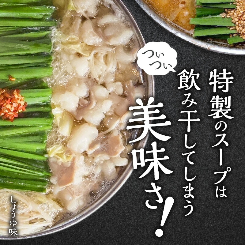 博多もつ鍋前田屋　味噌・醤油食べ比べセット（4～6人前）　KLM0605