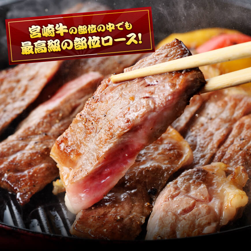 ５等級！宮崎牛ロースステーキ500g  肉 牛 牛肉 国産牛肉 黒毛和牛 宮崎牛 牛肉ロース 牛肉ステーキ 5等級牛肉 送料無料牛肉 [D0612]