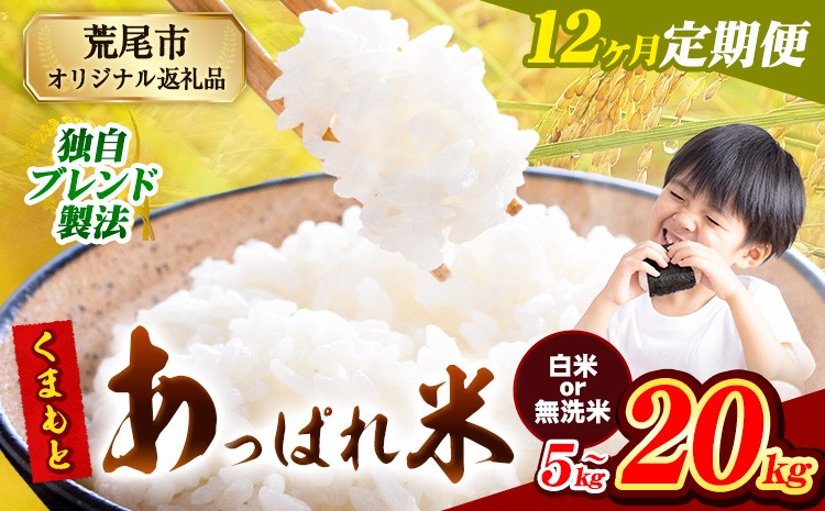 
            【12ヶ月定期便】無洗米 も選べる 熊本県産 くまもとあっぱれ米 ブレンド米 5kg 10kg 15kg 20kg 熊本県産 ふるさと納税 無洗米 白米 精米 米 こめ ふるさとのうぜい コメ お米 おこめ《1月から出荷開始》
          