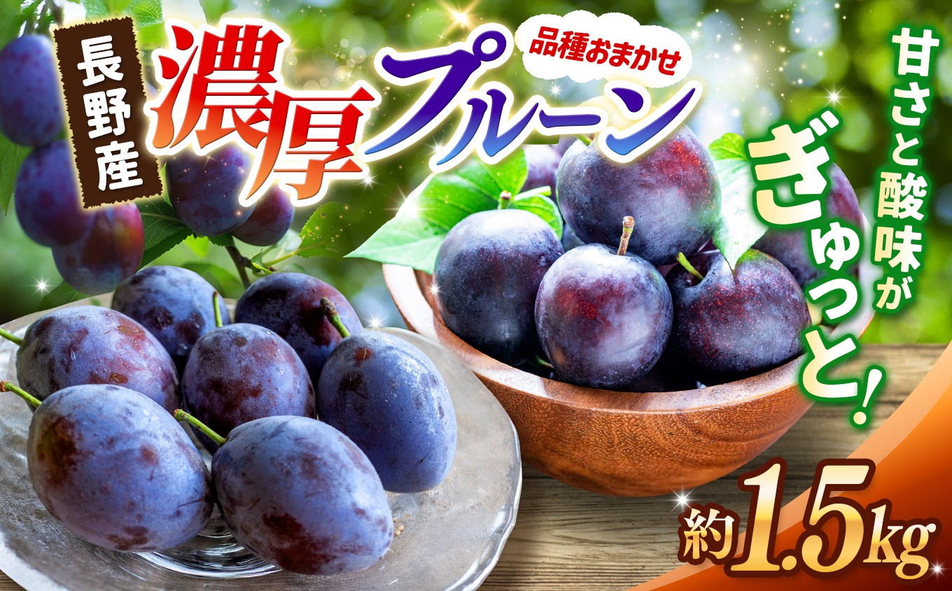 
                  【先行受付：8月発送】信州松本平産プルーン 約1.5kg 品種おまかせ ｜ふるさと納税 信州 松本 プルーン 生プルーン 旬 果物 フルーツ 甘い 新鮮 健康
                