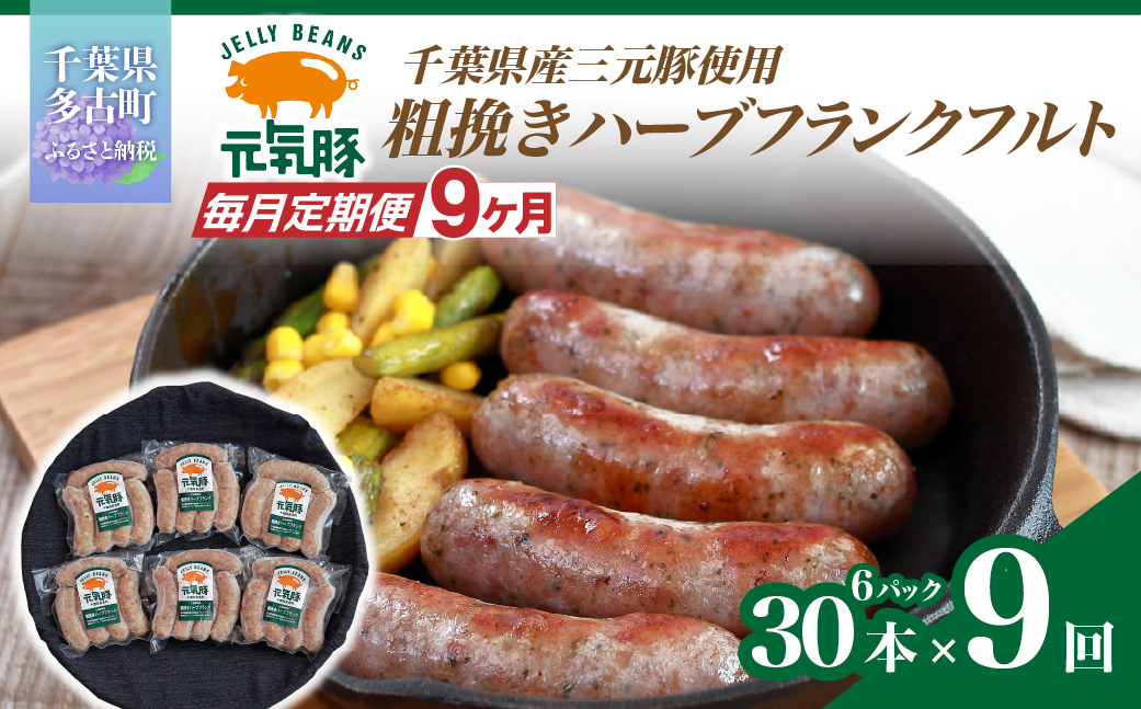 【毎月定期便】元気豚 粗挽きハーブフランクフルト 30本セット 1.8kg(60g×30本)全9回【配送不可地域：離島・沖縄県】 TAKB068