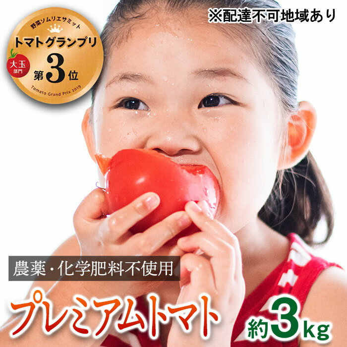 【ふるさと納税】【トマトGP受賞】栽培期間中農薬化学肥料不使用 こだわりのプレミアムトマト 約3kg 野菜 　お届け：2025年12月1日から2026年5月31日