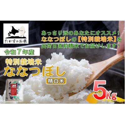 ふるさと納税 鷹栖町 【令和7年産新米予約】たかすのお米 「特別栽培米 ななつぼし」5kg(精白米)