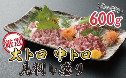 
馬刺し 熊本 霜降り 数量限定 馬刺 大トロ 中トロ 600g 豪華絢爛 食べ比べ セット 馬肉 肉 お肉 冷凍
