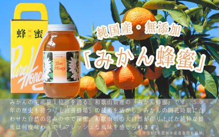 蜂蜜 ハチミツ みかん みかん蜂蜜 和歌山 / 紀美野町産 純粋みかん蜂蜜【twn001-1】