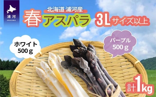 
                  【4月上旬頃より発送！】北海道浦河産 ホワイト＆パープル極太セット(1kg)[03-1437]
                