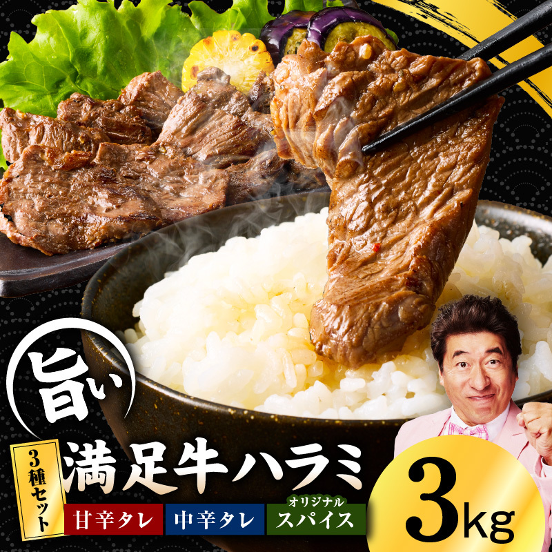 【満足牛ハラミ】3種セット （甘辛タレ漬け・中辛タレ漬け・オリジナルスパイス仕込み）  合計3kg 【味付け ハラミ 小分け 焼くだけ 簡単調理 BBQ 牛肉 250g×12P】 G3403