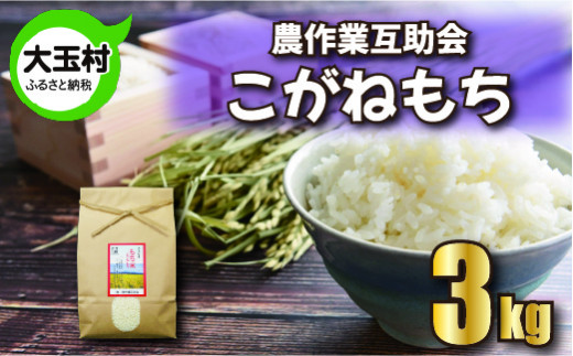 米 もち米 3kg こがねもち 【 令和7年産 】【 農業生産法人 農作業互助会のお米 】   餅米  餅こめ  餅 もち モチ おこわ 餅つき お餅 炊き込みご飯 ｜ gj-km03-R7