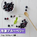 【ふるさと納税】【期間限定配送】 ブルーベリー 冷凍 500g × 2袋 1kg [農林産物直売所 美郷ノ蔵 宮崎県 美郷町 31ab0090] 国産 手摘み 小分け ヨーグルト 宮崎県産 おやつ お菓子 朝ごはん 朝ご飯