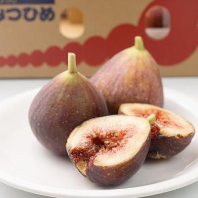 ふるさと納税 吉富町 福岡限定!ブランドいちじく「とよみつひめ」約300g×4パック(吉富町)