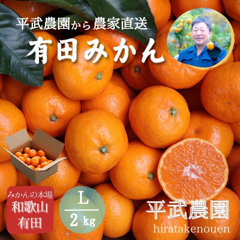 
            農家直送！有田みかん（2kg Lサイズ 秀品）平武農園　～蛍飛ぶ町から旬の便り～
          