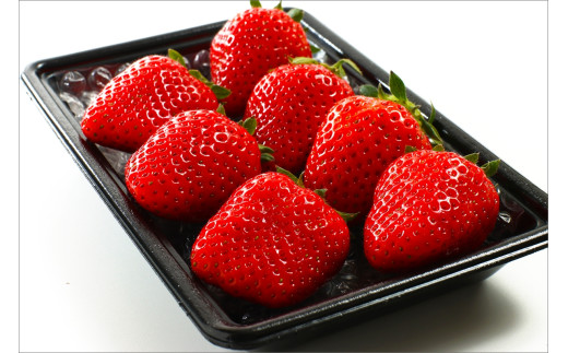 【先行予約／数量限定】京都丹後産 完熟いちご（かおりの） 4パック（2026年3月中旬～発送）