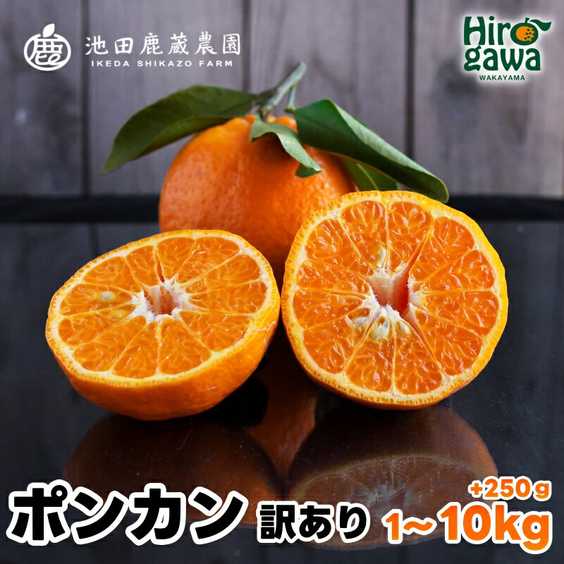 【ふるさと納税】 家庭用 ポンカン 1kg 2.5kg 5kg 7.5kg 10kg【 光センサー 食頃出荷】【人気の 柑橘 】【わけあり・訳あり】 ※1月中旬〜2月下旬頃に順次発送予定 ※北海道・沖縄・離島への配送不可 //dekopon