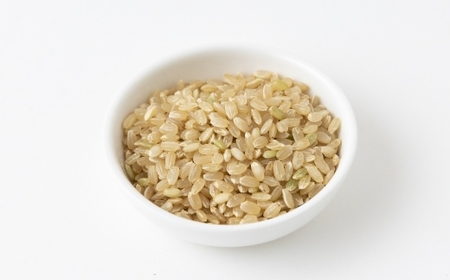 【6ヶ月定期便】みずほファーム UKIHA RICE (玄米5kg×6ヶ月)  【2025年11月より順次発送予定】 米 ヒノヒカリ お米 ご飯 うきは市
