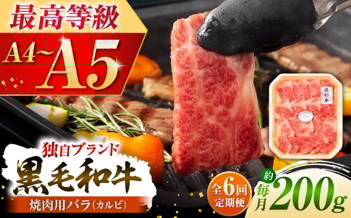 
            【全6回定期便】くまもと黒毛和牛「藤彩牛」バラ(カルビ)焼き肉用 1650 / 牛肉 黒毛和牛 バラ カルビ かるび 200g A5 A4 ランク 阿蘇 熊本県 菊陽町 焼き肉  バーベキュー BBQ 和牛 人気 部位   冷凍 ブランド ブランド和牛 おすすめ 便利 希少 普段使い 肉料理 ごはん ご飯 肉 にく niku 九州 がっつり 贅沢【株式会社フジチク】 [BHAD028]
          