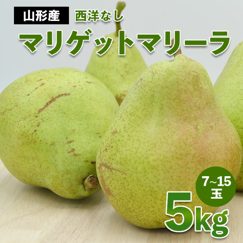 【ふるさと納税】山形市産 西洋なし(マリゲットマリーラ) 秀 5kg(7玉〜15玉) 【令和7年産先行予約】FS23-729 くだもの 果物 フルーツ 山形 山形県 山形市 2025年産