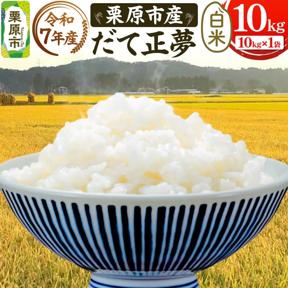 米 10kg 白米 令和7年産 栗原市産 だて正夢