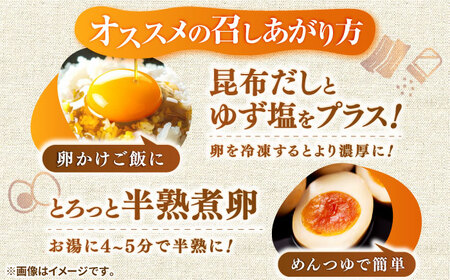 【全6回定期便】特選 素直な恋たまご 30個 《壱岐市》【しまのたまご屋さん】   卵 たまご 鶏卵 玉子 ギフト 国産 卵かけご飯 たまごかけご飯 のし 定期便[JAP020]