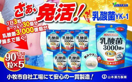 山本漢方の乳酸菌粒(30日分×5袋)[027Y07]_イメージ2