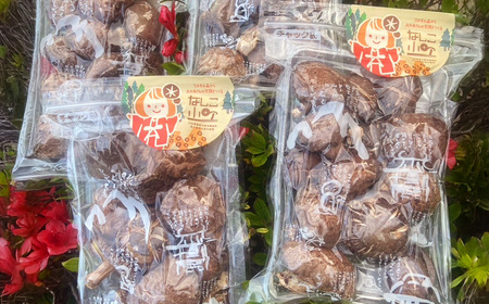 008-1341【ふるなびWEEK対象】小町のどんこ詰め合せ どんこ椎茸 45g×4パック 合計180g