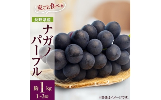 ＜発送月固定定期便＞信州人気のフルーツ(いちご・ナガノパープル)を掛け合わせた果物セット全2回【4085427】