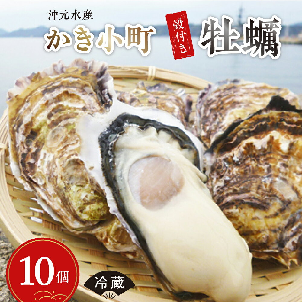 【ふるさと納税】 先行予約 沖元水産 かき小町 殻付き 牡蠣 10個 牡蠣ナイフ レシピ付 【 2026年 1月 中旬より発送】 生食用 冷蔵便 国産 生牡蠣 牡蠣 カキ 旨味 濃厚 新鮮 美味しい 海鮮 国産 先行受付 旬 広島かき お取り寄せグルメ 産地直送 送料無料 広島県 呉市