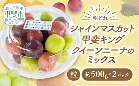 【ご家庭用つぶつぶ】ぶどう3種　約1㎏ シャインマスカット 山梨シャインマスカット