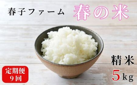 《令和7年産》【定期便9ヶ月】春の米　精米　5kg ／ 米 お米 こめ コメ ごはん 無農薬 農薬不使用 春の米 精米 白米 令和7年産 5kg 定期便 千葉県 東庄町 春子ファーム 産地直送 産直 送料無料