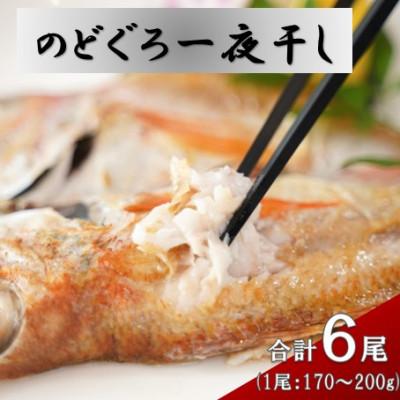 ふるさと納税 大田市 島根県沖!添加物不使用・天日塩仕上げ!大ぶり「のどぐろ一夜干」(6尾)E174