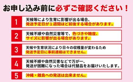 No.2769【先行予約】福島のフルーツ定期便４種【2024年発送】