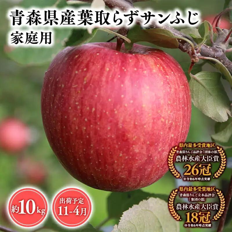 りんご 家庭用 葉とらずサンふじ10kg りんご