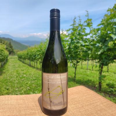 ふるさと納税 中野市 Bozza di Sauvigunon(ソーヴィニヨン・ブラン:白ワイン)750ml×2本
