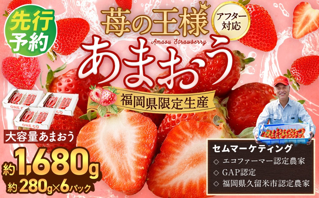 
                  【予約受付】選べる大容量あまおう 1,680g 大粒 不揃い 選べる大容量あまおう （2L,グランデ,DX デラックス）減農薬 あまおう いちご 高級 いちごあまおう イチゴ 苺 フルーツ 果物 ふるさと納税くだもの amaou 福岡県 【2027年1月上旬～3月下旬発送予定】
                