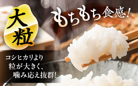 【先行予約/10月より順発送】 【令和7年度産 新米 】 にこまる 白米 10kg お米 ご飯  愛西市 / 戸倉トラクター 【配達不可：離島】 [AECS056]