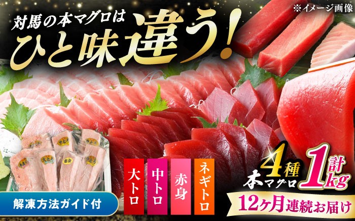 
                  【全12回定期便】対馬産 本マグロ 4種 計1kg（赤身/中トロ/大トロ/ネギトロ）《対馬市》 【対海】[WAH008] マグロ まぐろ 鮪 本鮪 本マグロ 養殖 トロ 中トロ 中とろ 大トロ 大とろ 赤身 ねぎとろ ネギトロ たたき 刺身 冷凍 海鮮 魚 柵 お祝い 贈答 定期便 毎月届く
                