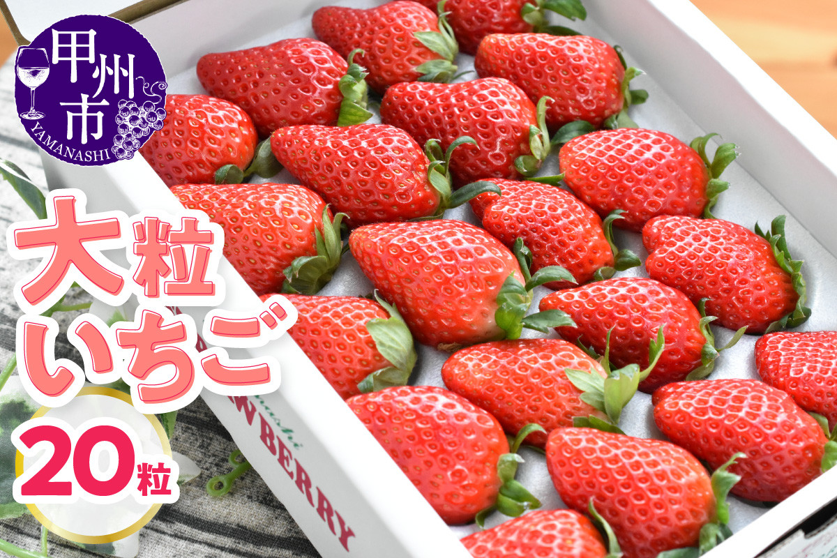 
                  大粒いちご（20粒）【2026年12月下旬～発送】（KSB）B14-101
                