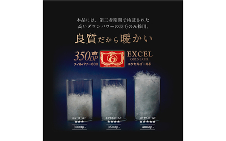 羽毛布団 セミダブル 170cm×210cm 超超増量 2.1kg 本掛け 冬用 日本製 福岡県 柳川市【限界手前シリーズ】