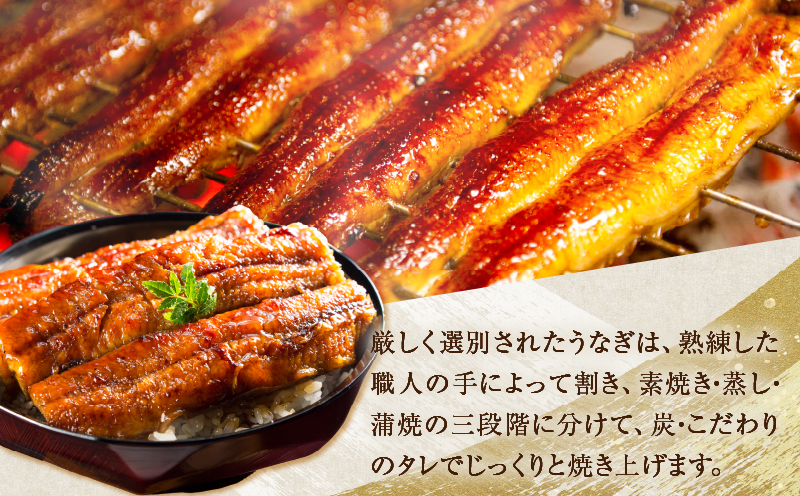 【10月1日より寄附額改定】≪数量限定≫うなぎ×黒毛和牛 都農町最強セットB 肉 牛 牛肉 おかず 国産_T030-130-02