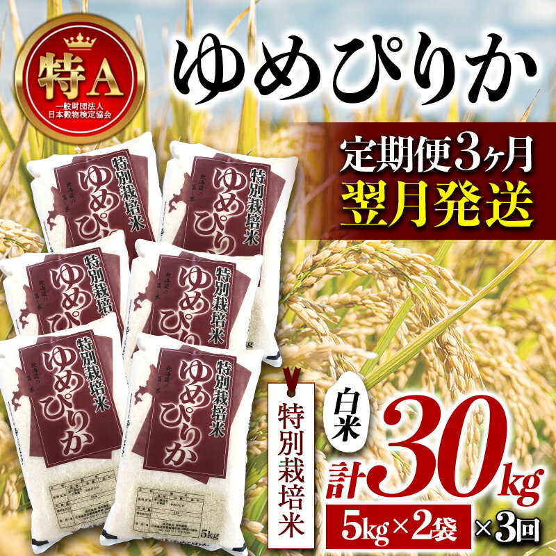 【ふるさと納税】《定期便3カ月》特別栽培米 令和6年産 ゆめぴりか 白米 10kg 翌月発送開始 北海道産 南幌町 特A NP1-411