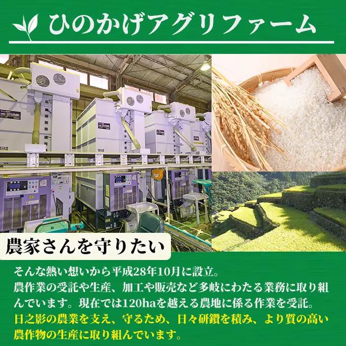 ＜令和7年産＞＜数量限定・全3回・定期便＞宮崎県日之影町産 ヒノヒカリ(総量15kg・5kg×3回) 米 精米 国産 ごはん 白米 【AF004】【株式会社ひのかげアグリファーム】