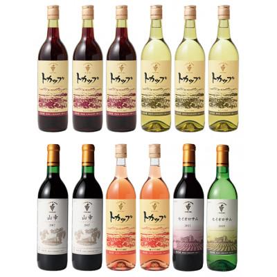 ふるさと納税 池田町 十勝ワイン ハーフボトル12本セット |  | 01