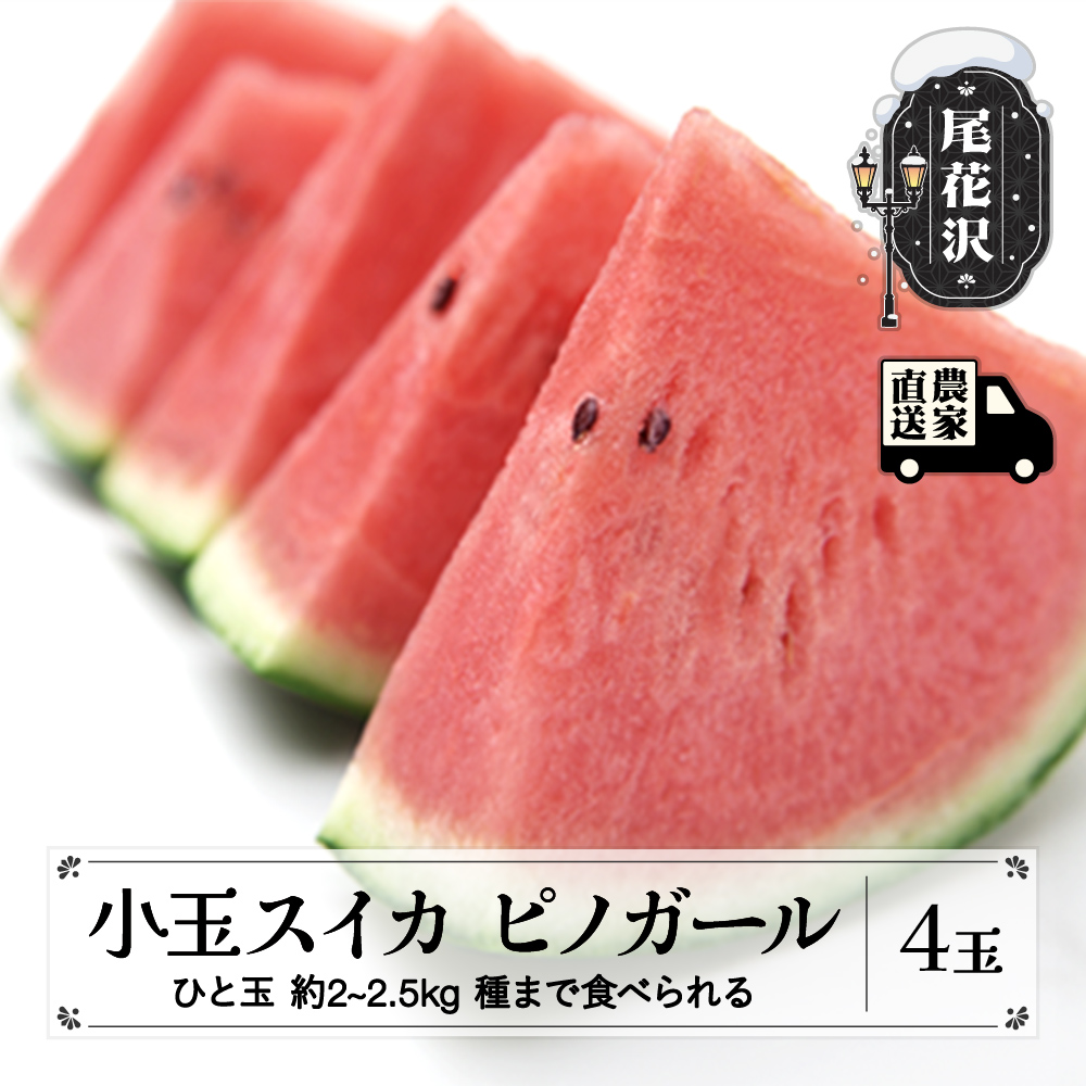 タネまで食べられる小玉スイカ  ピノガール (約2~2.5kg)×4玉 7月中旬～8月上旬頃発送 尾花沢産 スイカ すいか 西瓜 令和7年産 2025年産 観光物産 kb-supgx4