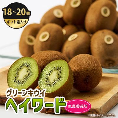 ふるさと納税 掛川市 5885　掛川産グリーンキウイ「ヘイワード」18〜20個(ギフト箱入り)