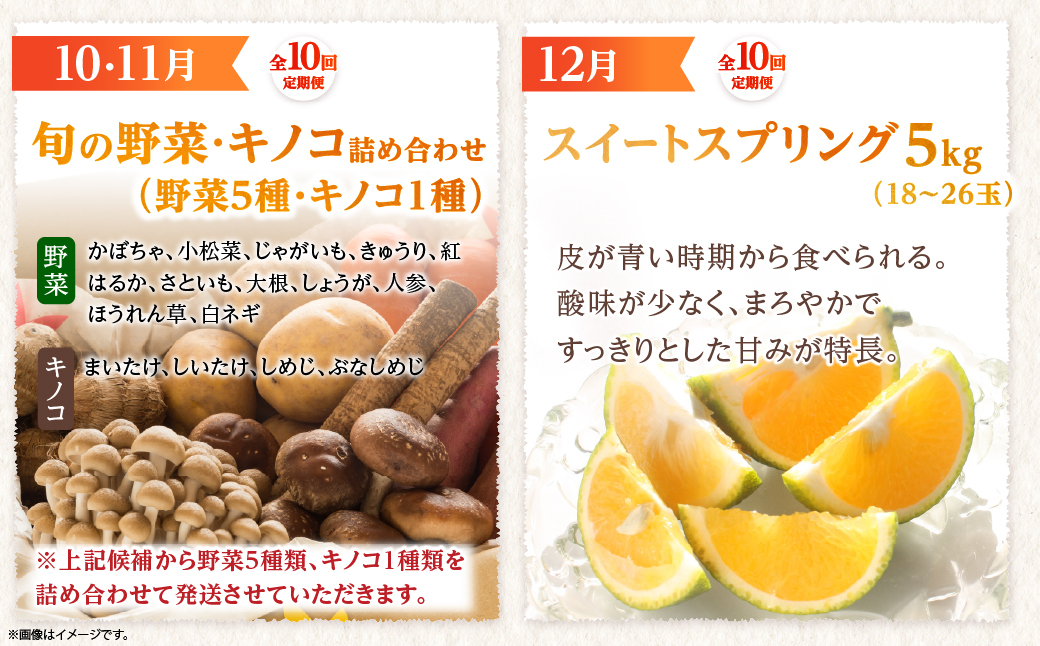 【全10回お届け】特選！！宮崎県綾町産 果物・野菜定期便 [Y21]_A0113-0041