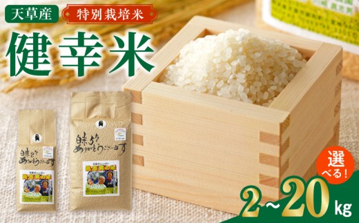 
                  S067-023-sku_【令和8年産】特別栽培米　健幸米
                