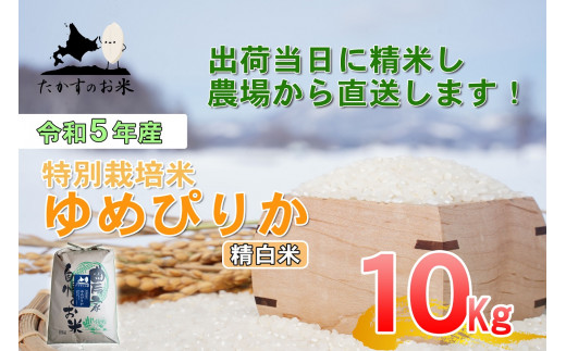 A220 　令和５年産北海道米を代表する人気の品種「ゆめぴりか」（精白米・10kg）